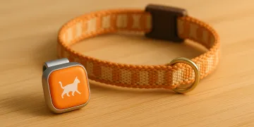 Best Cat Activity Monitor in 2026