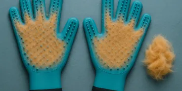 Best Cat Grooming Gloves in 2026