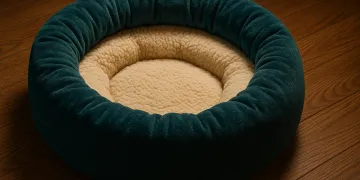 Best Heated Cat Beds in 2026