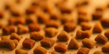 Best Cat Treats in 2026: PSR-Scored Picks for Training and Rewards