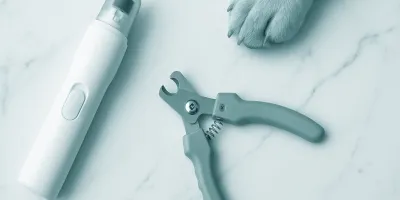 Best Dog Nail Grinder in 2026