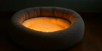 Best Heated Dog Beds for Senior Dogs in 2026