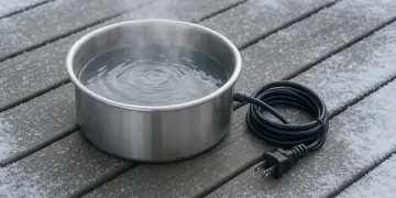 Best Heated Pet Water Bowl in 2026