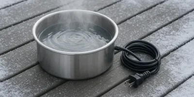 Best Heated Pet Water Bowl in 2026