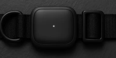 Best Pet Activity Monitor for Dogs in 2026