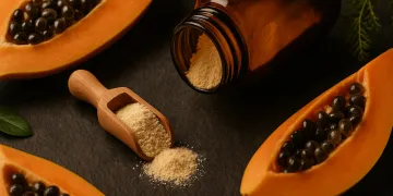 Best Digestive Enzyme Supplements for Senior Dogs in 2026